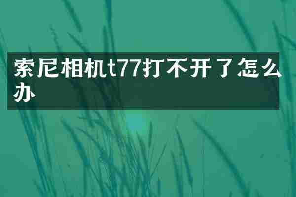 相机t77打不开了怎么办