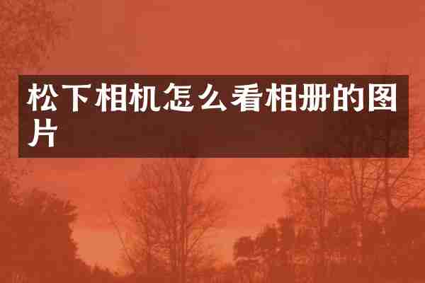 松下相机怎么看相册的图片