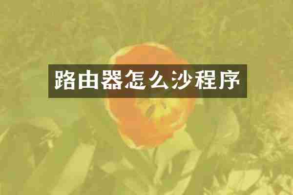 路由器怎么沙程序