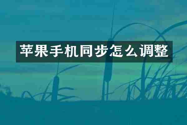 苹果手机同步怎么调整
