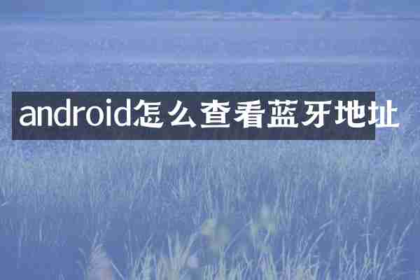 android怎么查看蓝牙地址