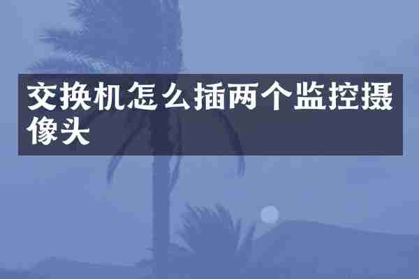 交换机怎么插两个监控摄像头