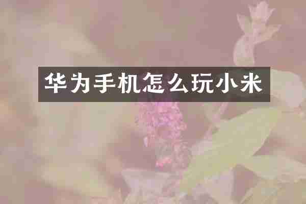 华为手机怎么玩小米