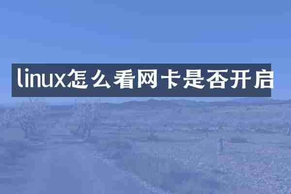 linux怎么看网卡是否开启