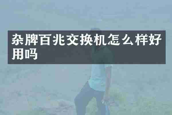 杂牌百兆交换机怎么样好用吗