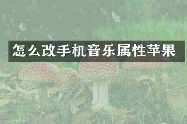 怎么改手机音乐属性苹果