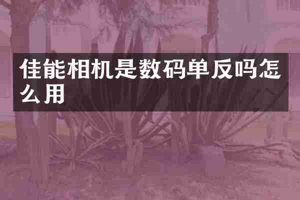 佳能相机是数码单反吗怎么用