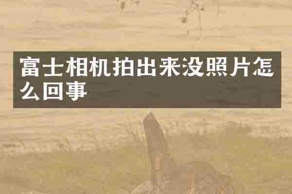 富士相机拍出来没照片怎么回事