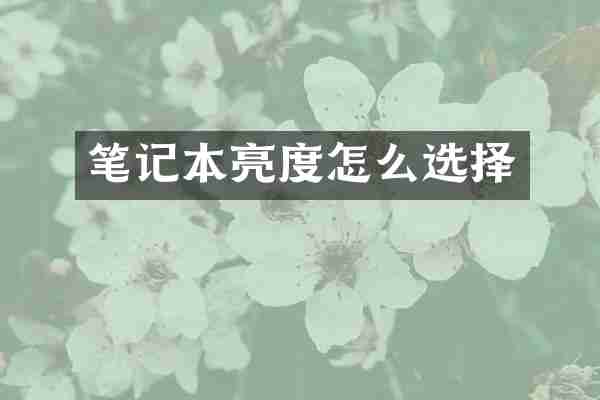 笔记本亮度怎么选择