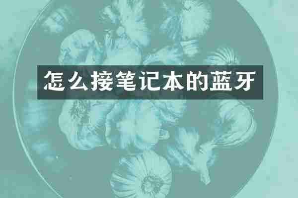 怎么接笔记本的蓝牙