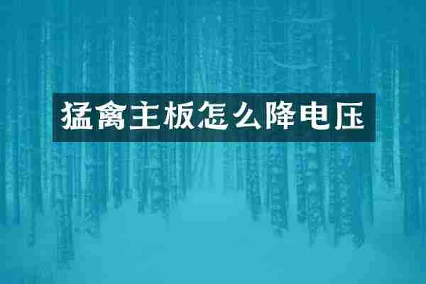 猛禽主板怎么降电压