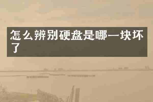 怎么辨别硬盘是哪一块坏了