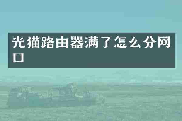 光猫路由器满了怎么分网口