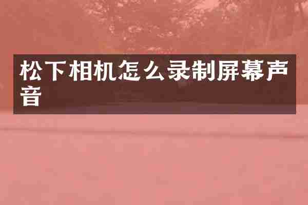 松下相机怎么录制屏幕声音