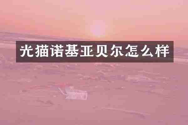 光猫诺基亚贝尔怎么样