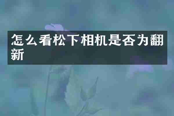 怎么看松下相机是否为翻新