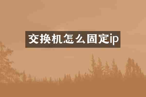 交换机怎么固定ip