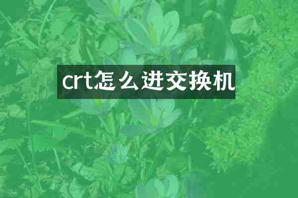 crt怎么进交换机
