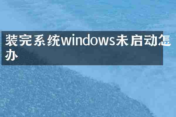 装完系统windows未启动怎么办