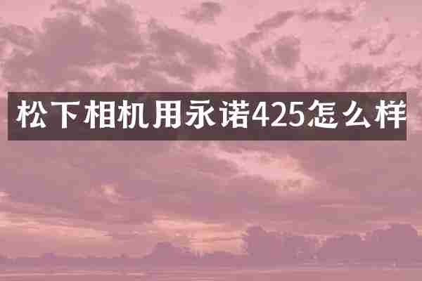 松下相机用永诺425怎么样