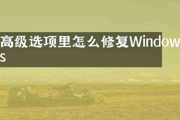 高级选项里怎么修复Windows