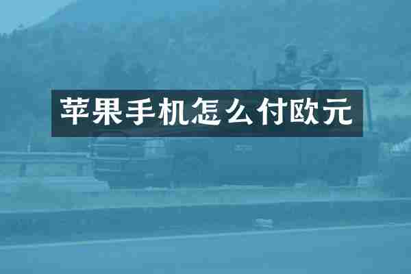 苹果手机怎么付欧元
