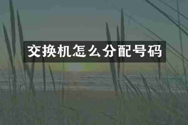 交换机怎么分配号码
