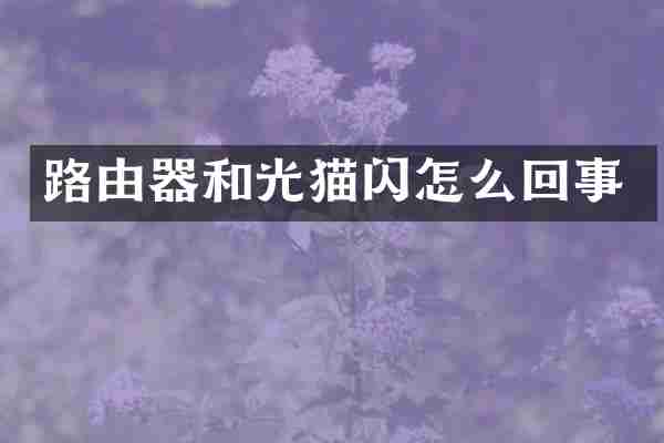 路由器和光猫闪怎么回事