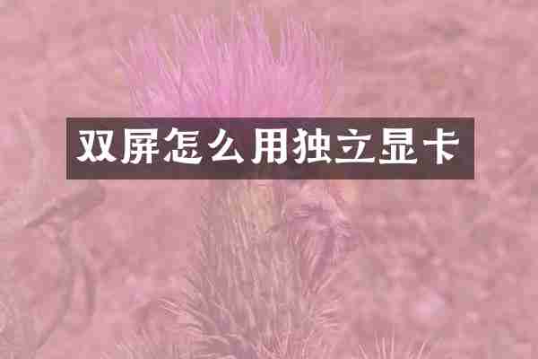 双屏怎么用独立显卡