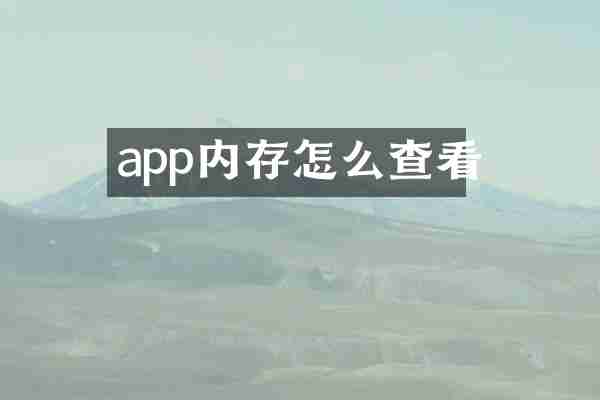 app内存怎么查看