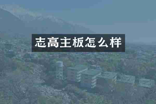 志高主板怎么样