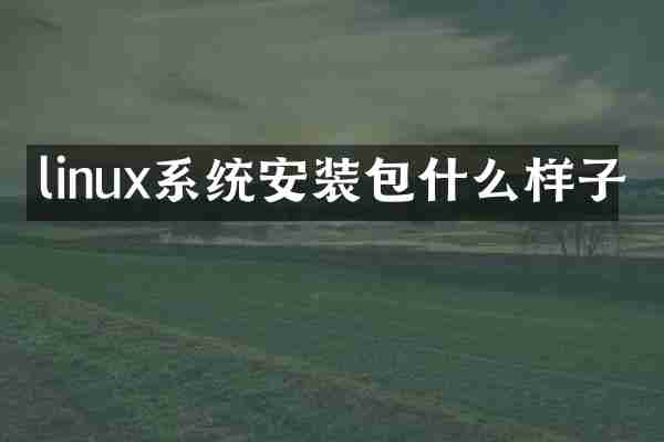 linux系统安装包什么样子