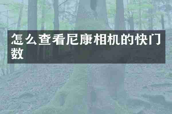 怎么查看尼康相机的快门数