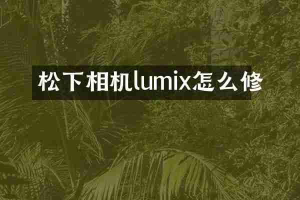 松下相机lumix怎么修