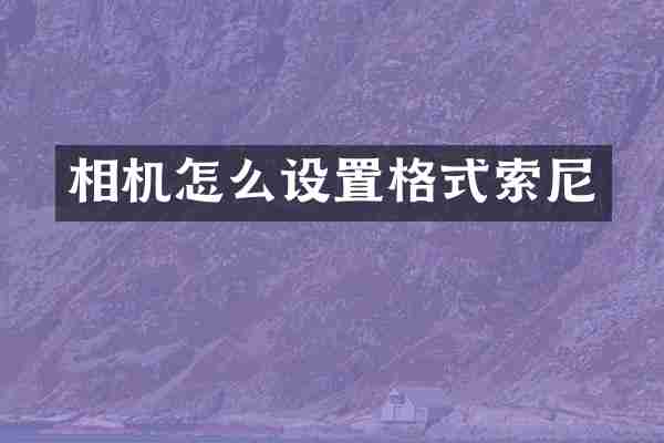 相机怎么设置格式索尼