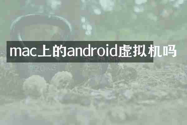 mac上的android虚拟机吗