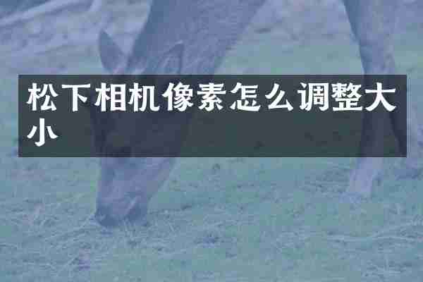 松下相机像素怎么调整大小