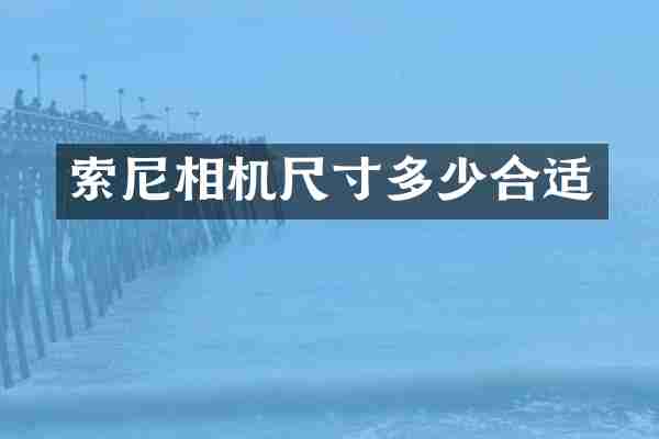 索尼相机尺寸多少合适