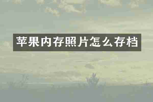 苹果内存照片怎么存档