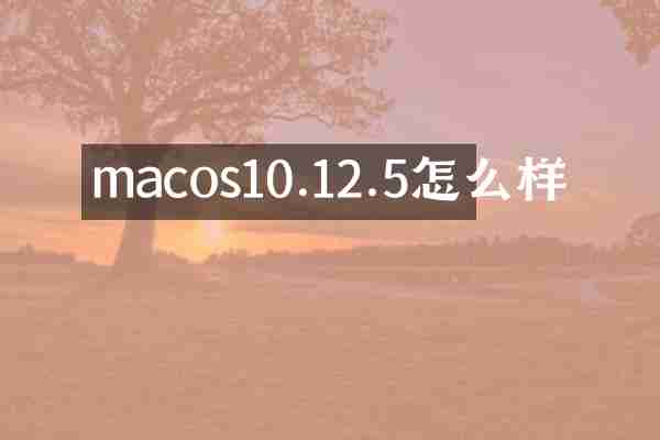 macos10.12.5怎么样