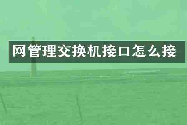 网管理交换机接口怎么接