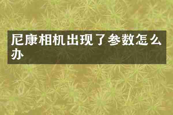 尼康相机出现了参数怎么办