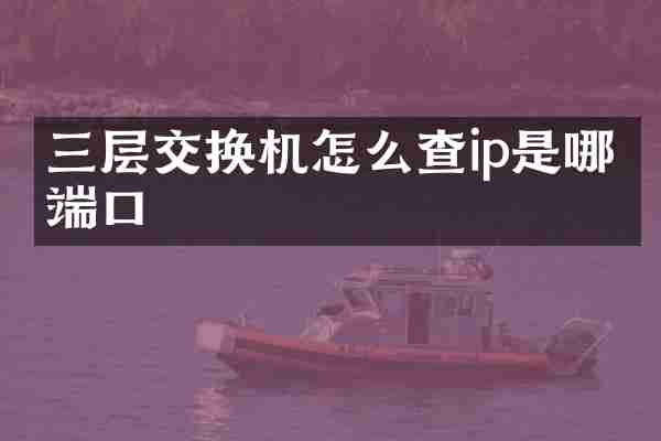 三层交换机怎么查ip是哪个端口