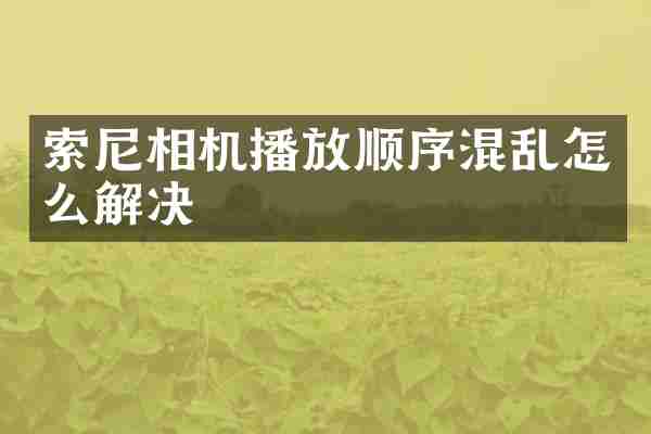 索尼相机播放顺序混乱怎么解决