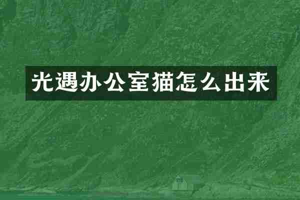 光遇办公室猫怎么出来