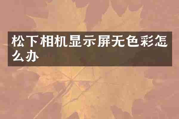 松下相机显示屏无色彩怎么办
