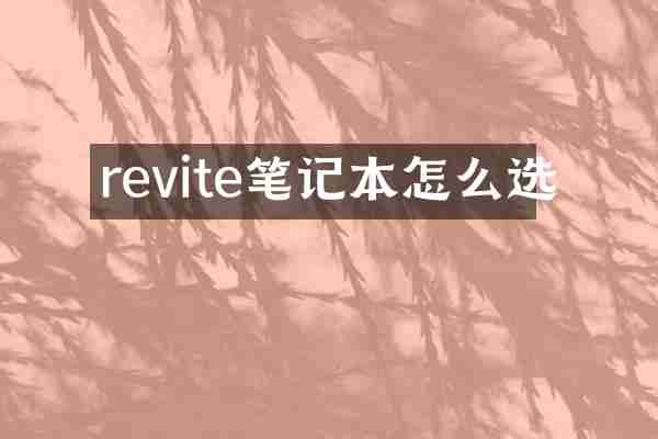 revite笔记本怎么选