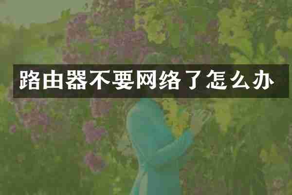 路由器不要网络了怎么办