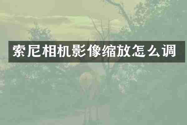 索尼相机影像缩放怎么调