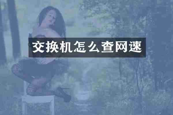 交换机怎么查网速